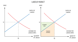 1st worker employed will earn significantly more economic rent than the last worker