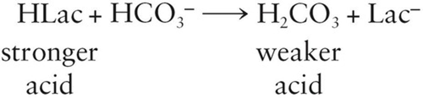 <p>Regulates pH with bicarbonate and carbonic acid.</p>