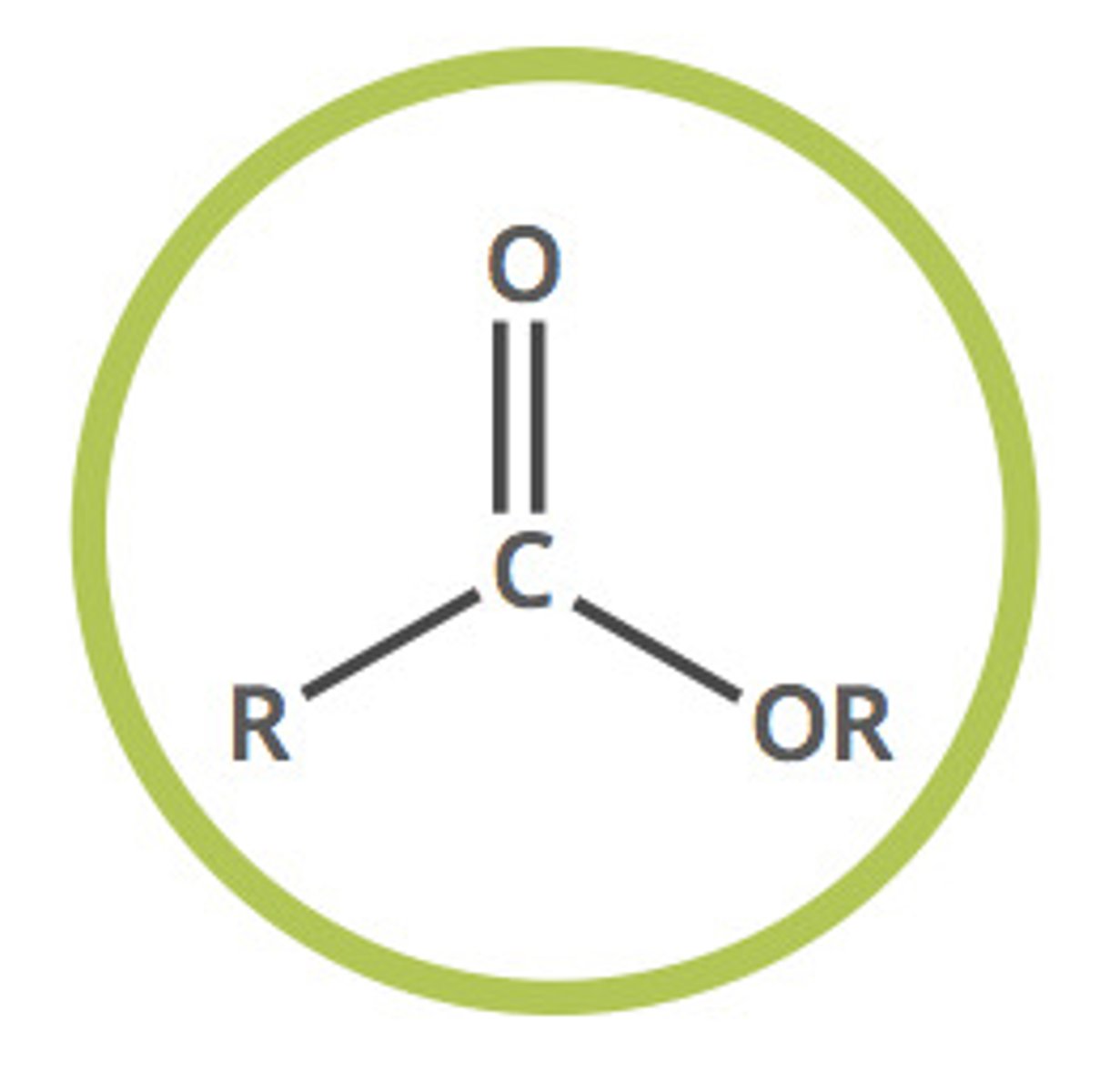 <p>compound derived from an acid in which at least one -OH hydroxyl group is replaced by an -O- alkyl group</p>