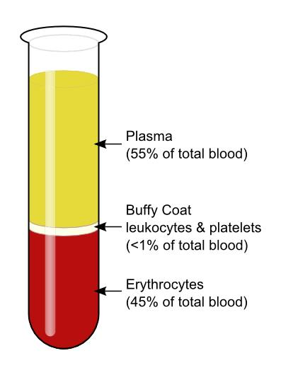 <p>plasma, buffy coat and red blood cells </p>