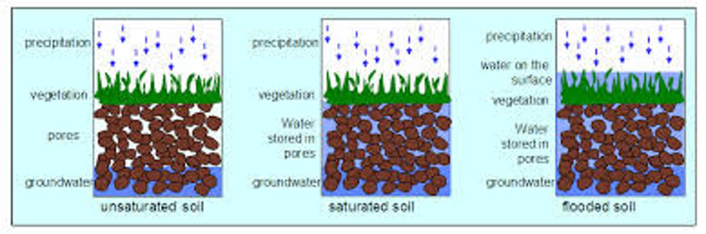 <p>infiltrated water by soil</p>