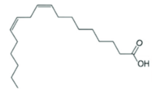 <p>What type of fatty acid is this and why?</p>