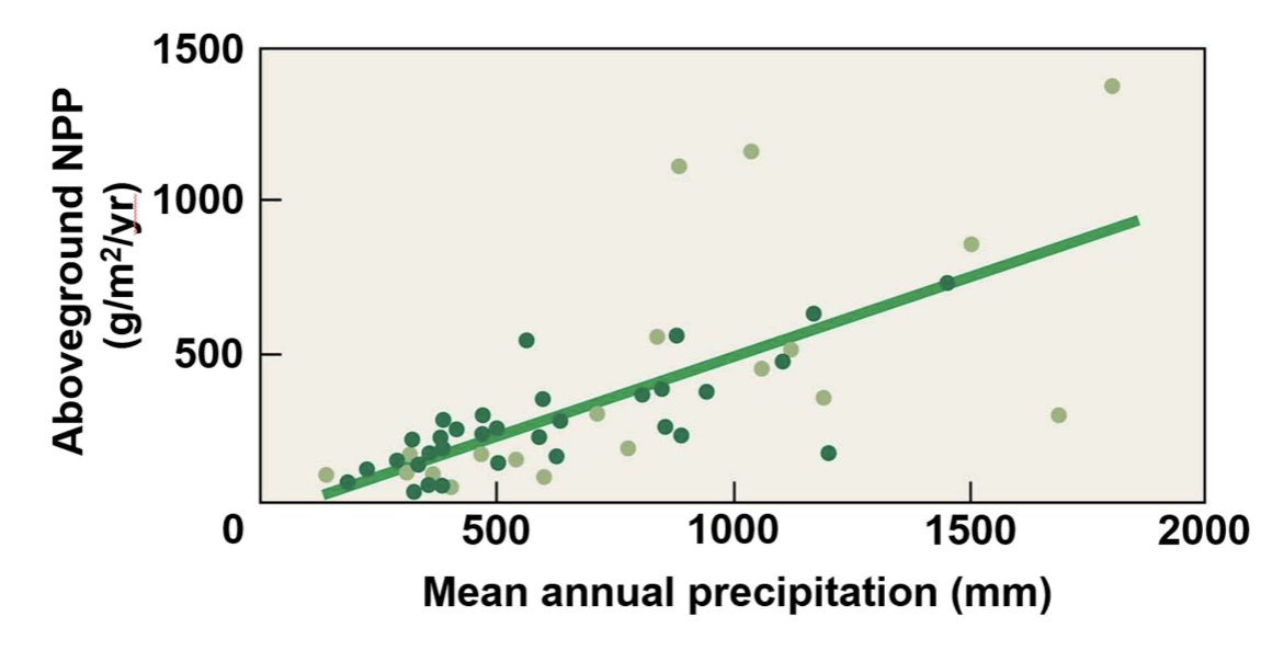 <p>annual <strong>precipitation</strong></p>