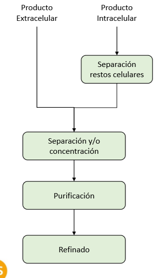 <p>¿En qué momentos se puede encontrar la unidad de extracción?</p>