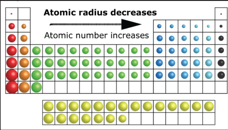 Smaller atoms are less polarizable than larger ones 