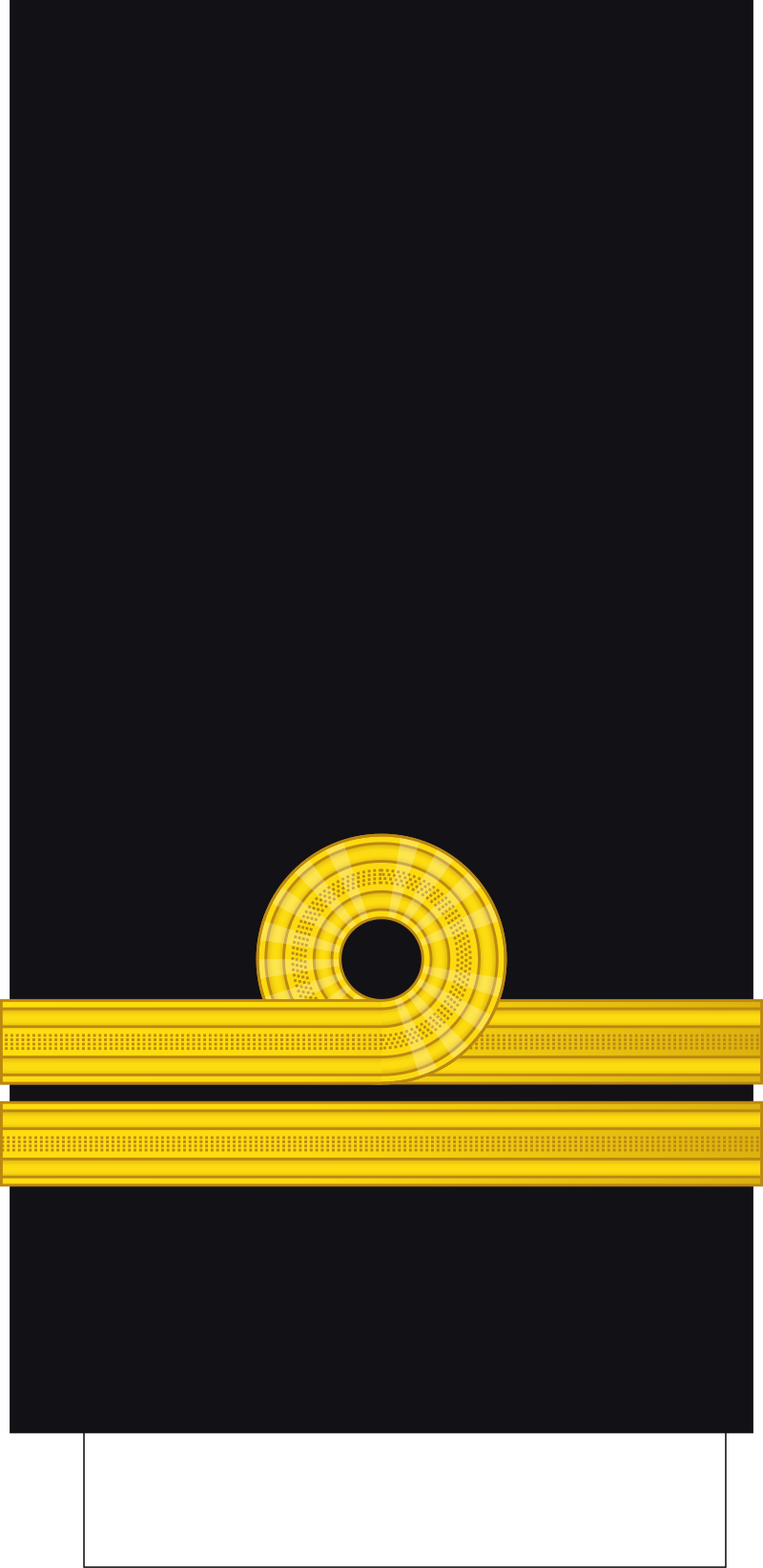 <p>What rank is this?</p>