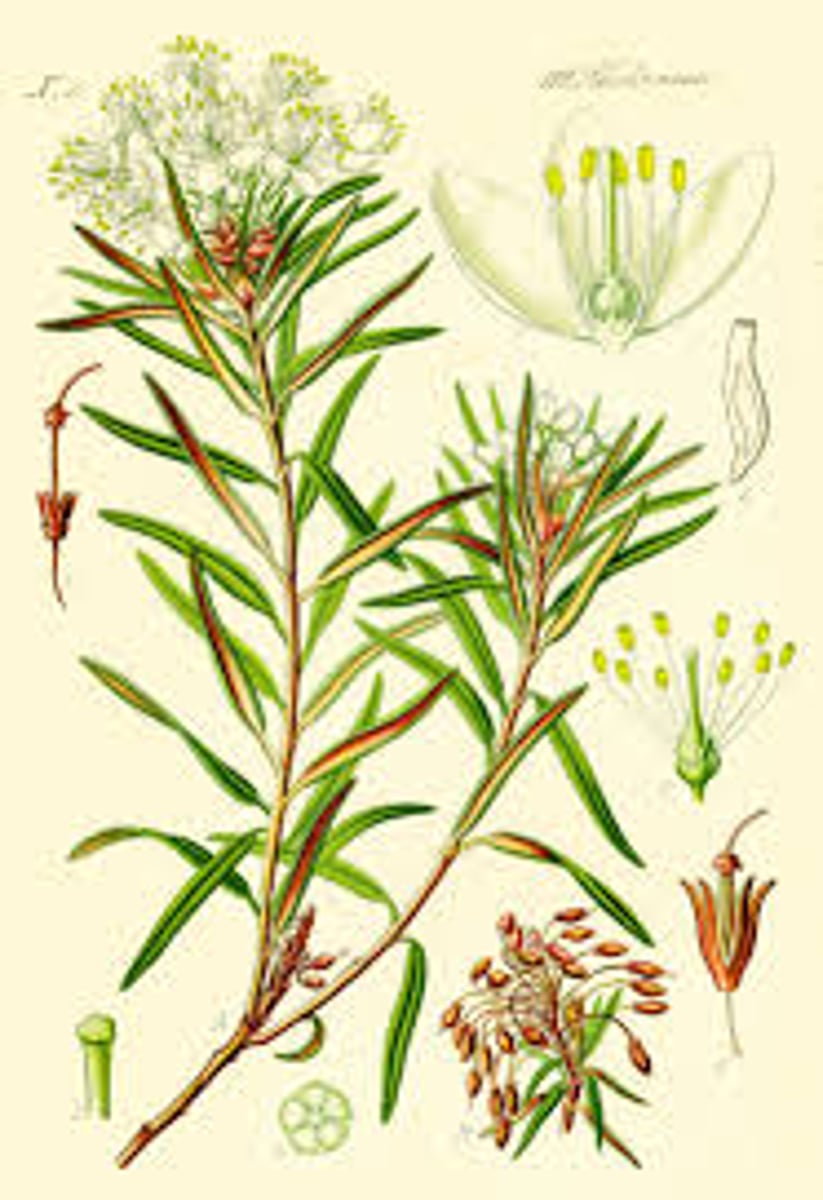 <p>Bagno zwyczajne to</p>