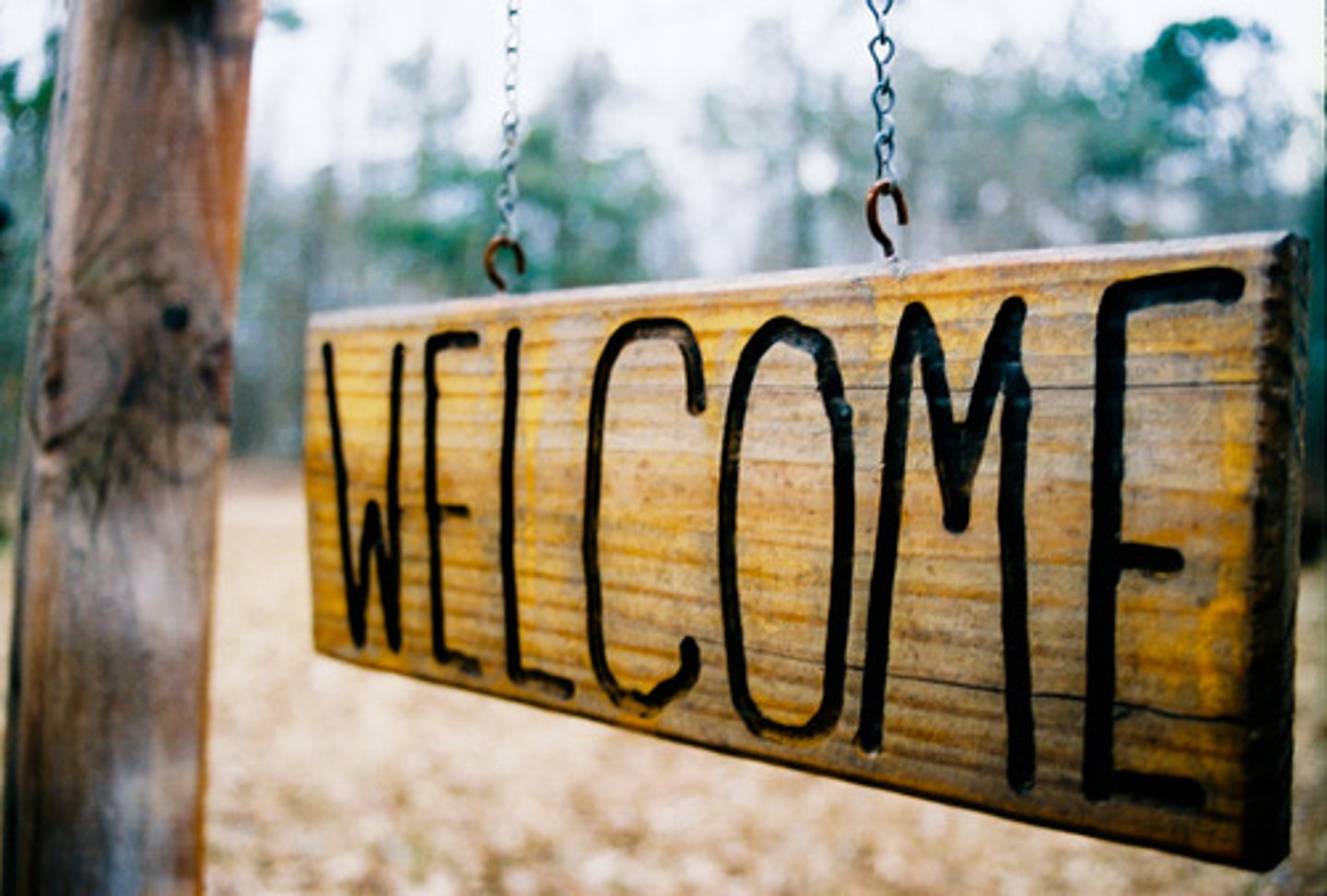 <p>welcome</p>