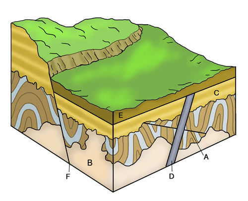Rock D is a dike that cuts across all the other rocks. Therefore, it is younger than the other rocks.