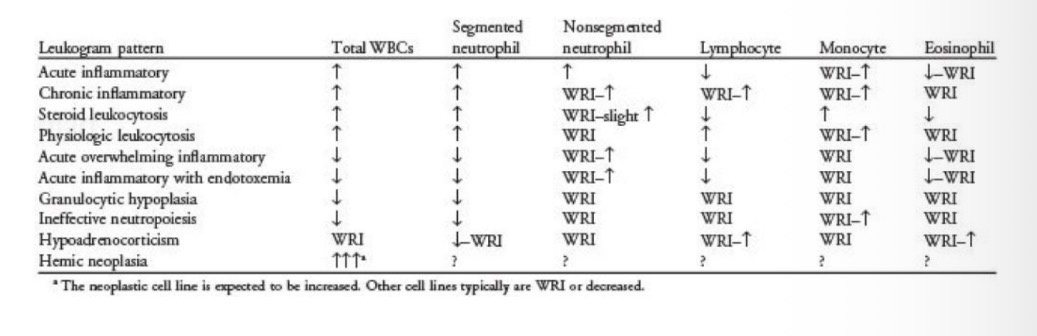 <p>Inc WBC count </p>