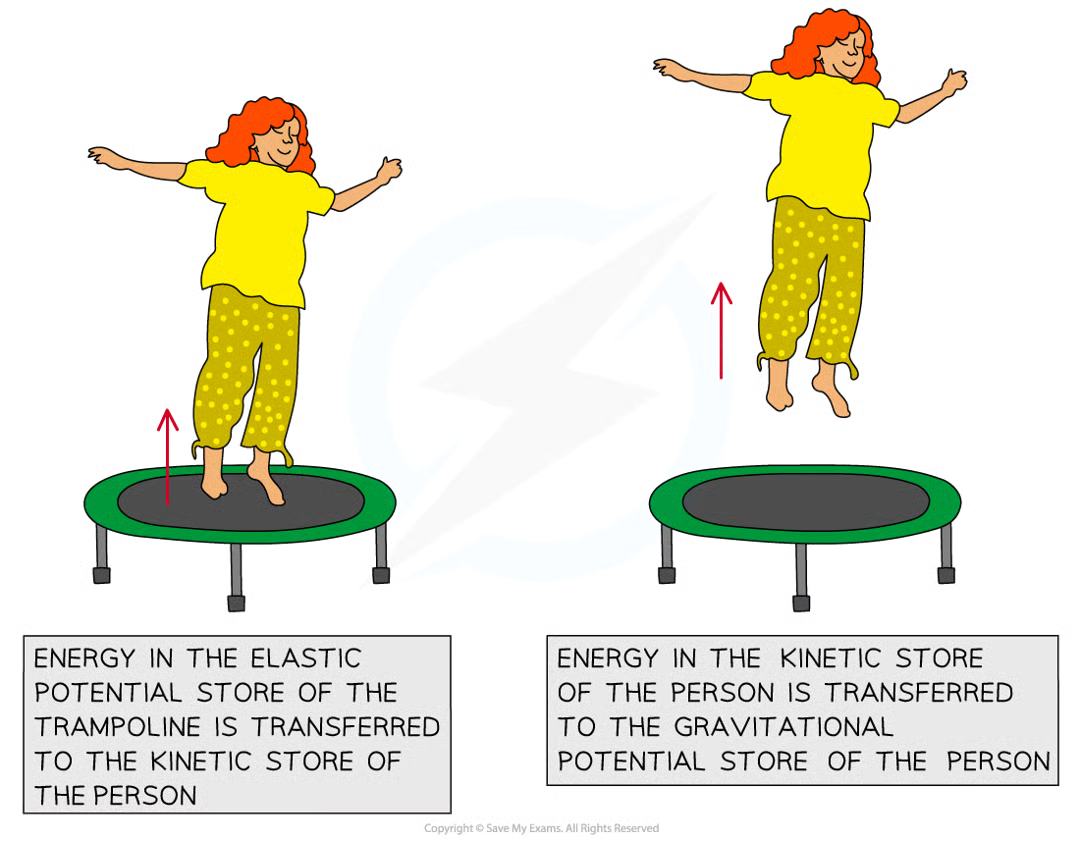 <p>when jumping a person has energy in their <strong>kinetic store</strong>. when they land on the trampoline most of that energy is transferred to the e<strong>lastic potential store of the trampoline</strong>. it’s then transferred back to the<strong> kinetic store </strong>of the person as they bounce up</p><p>energy is transferred from the person’s kinetic store to their <strong>gravitational potential store</strong> as they gain height</p><p>some energy is <strong>dissipated by heating </strong>to the thermal store of the surroundings (person, trampoline, air)</p><p>the useful energy transfers are <strong>elastic potential energy → kinetic energy → gravitational potential energy</strong></p>