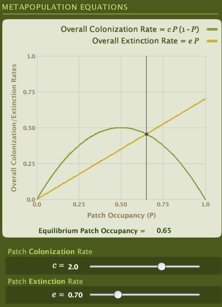<p>When the extinction rate and colonisation rate are equal to each other. Therefore, empty patches are gaining individuals through colonisation at the same rate that colonised patches are losing individuals due to extinction. </p><p>Therefore, the proportion of occupied patches is no longer changing at that point. </p>