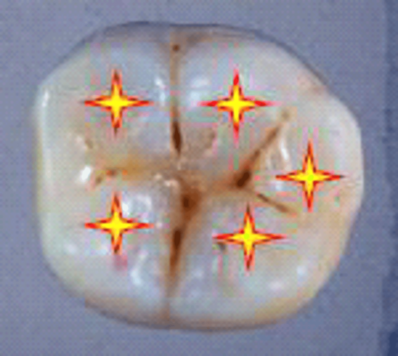 <p>what are these?</p>