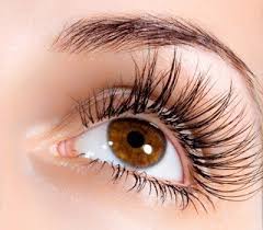 <p>eyelashes</p>