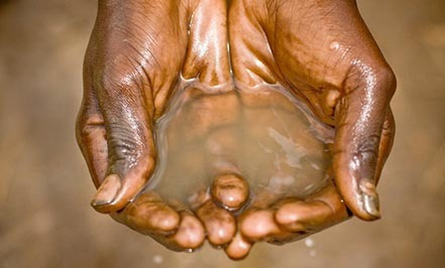 <p>diseases we can catch from the water</p>