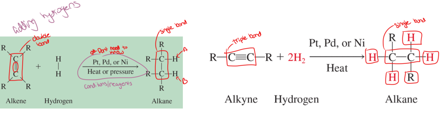 <p>adding hydrogen to a double or a triple bond </p>