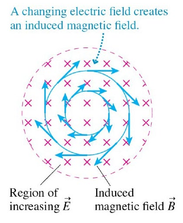 <p>B induced </p>
