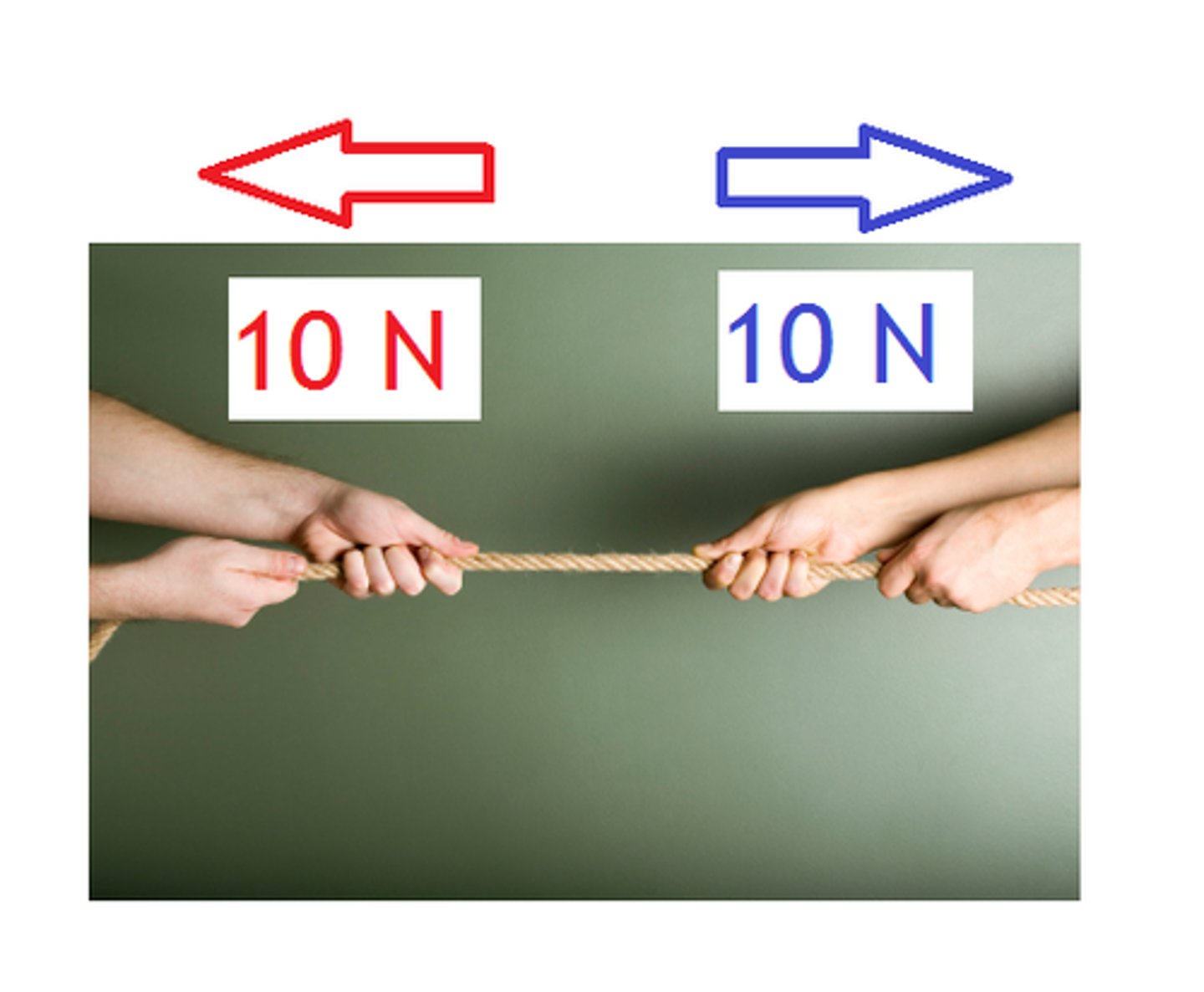 <p>Equal forces acting on an object in opposite directions</p>