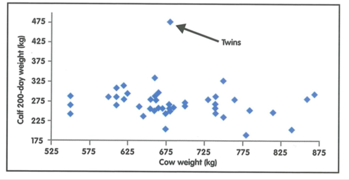 <p>-Low feed cost</p><p>-Longevity</p><p>-Tight calving pattern</p><p>-Fast growth and early sexual maturity</p><p>-Docile temperament</p><p>-Good feed conversion ability</p><p>-1 calf every year</p><p>-Low calf mortality</p><p>-Solid replacement policy</p>