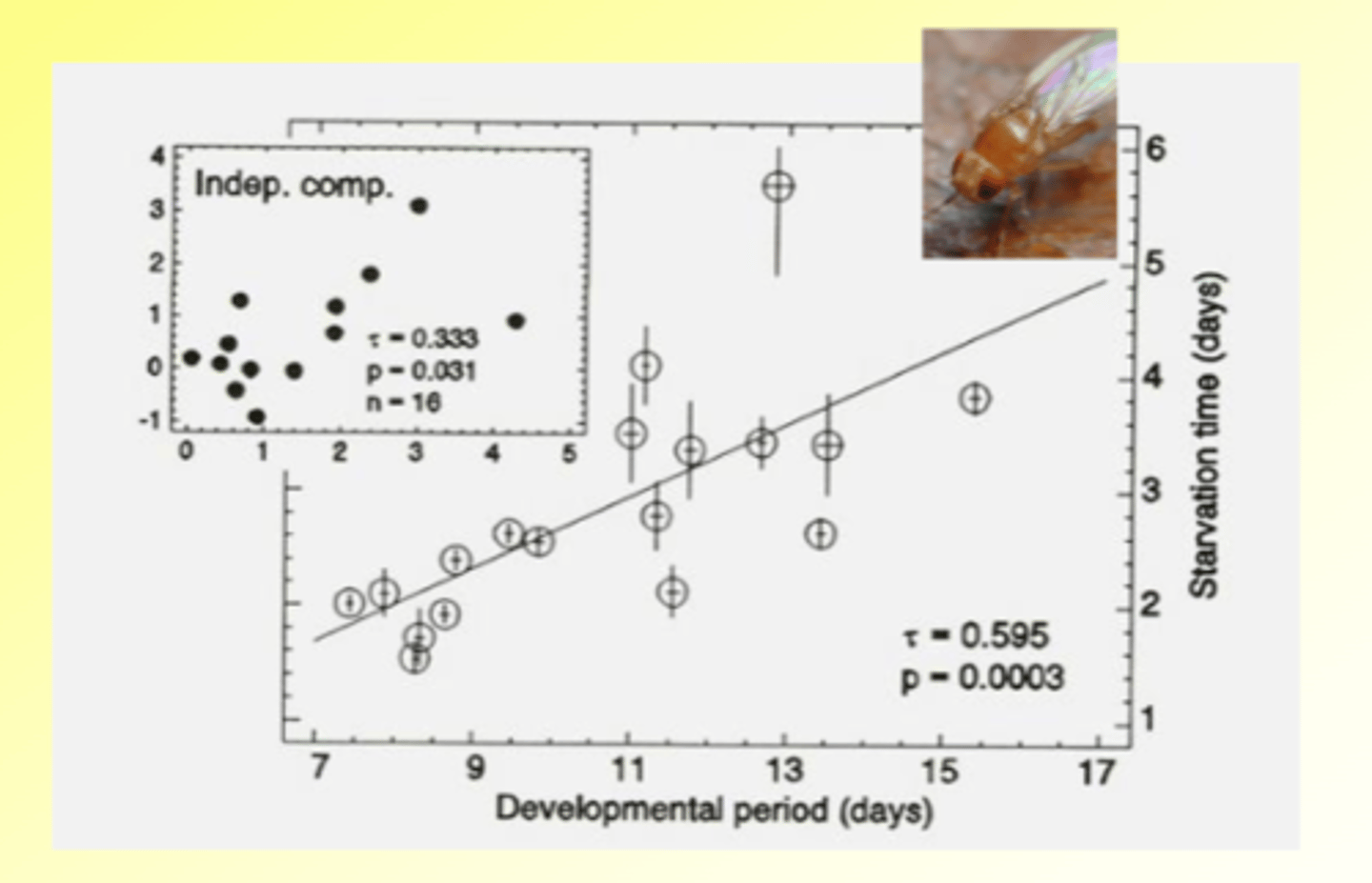 <p>- Work by Sevenster in early 1990s: Drosophila species on fruits in the tropics</p><p>~ Looked 20 species on same fruit (same food source): Spondias mombin</p><p>- Saw the group was pretty much stable and coexisted on the same resource</p><p>- This was because there was: Spatial and temporal variation in abundance of fruits (complexity and heterogeneity in the habitat)</p><p>- Looked at Two key traits: larval development period (key trait in competitive ability) and adult starvation tolerance (how long can live without food and water) (key in dispersal ability)</p><p>- Trade-off between developmental period and starvationtime</p><p>-'Fast' species do better when fruits are common; 'slow' species do better when fruits are scarce</p>
