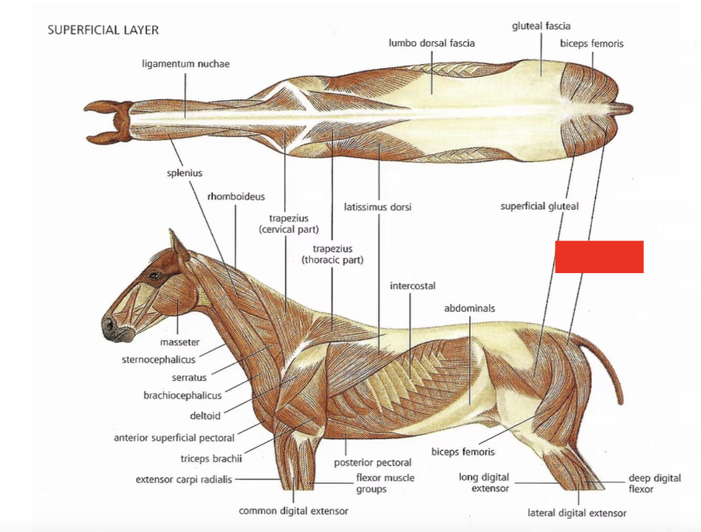 <p>What is this?</p>