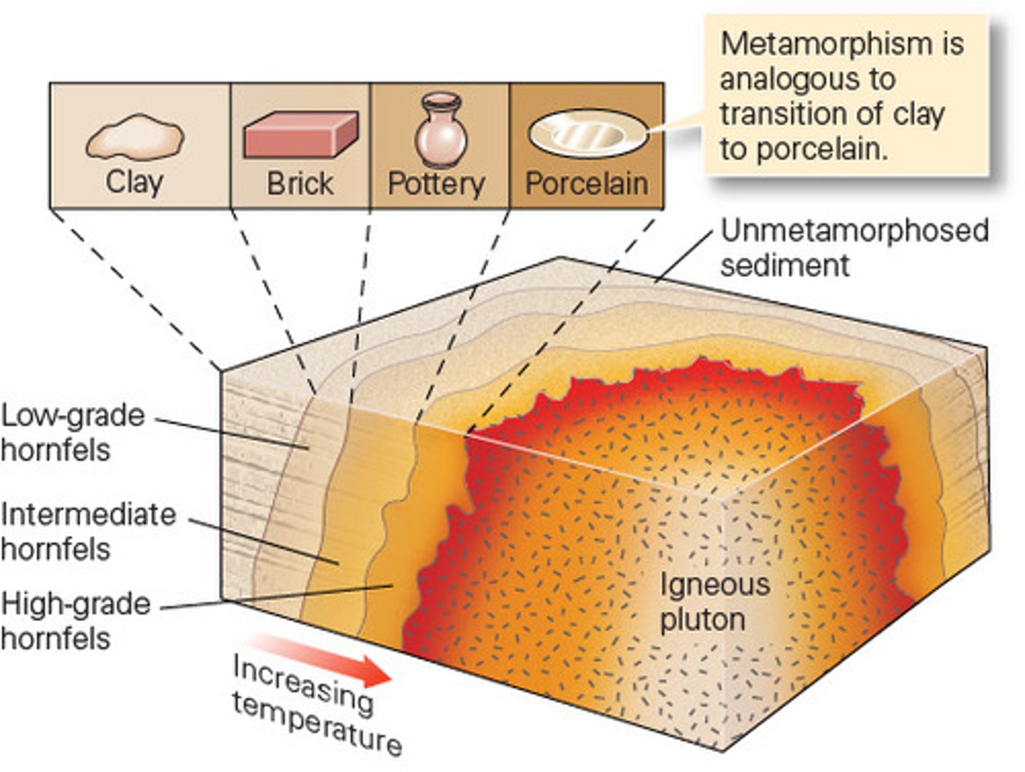 <p>state of two or more objects or substances in contact such that heat can flow from one to the other</p>