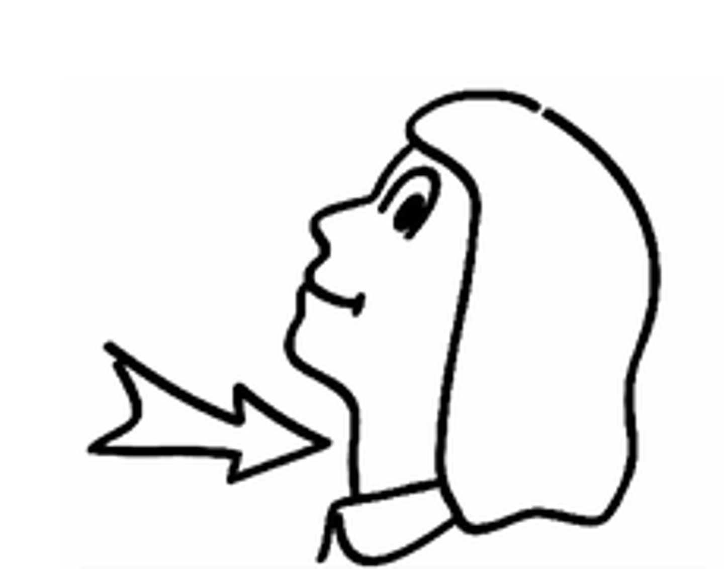 <p>DEFINITION</p><p>throat(s)</p>