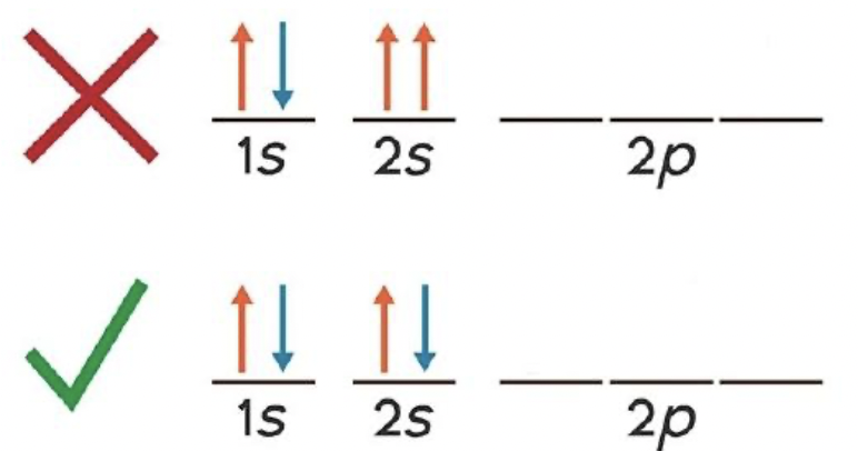 <p>No more than two electrons may occupy the same orbital with opposite spins</p>