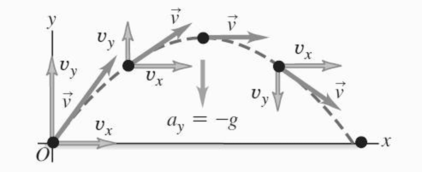 <p>Motion of an object thrown into the air, where only gravity acts on it, resulting in a parabolic path.</p>