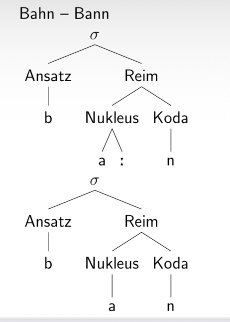 <p>Konstituenten der Silbe</p>