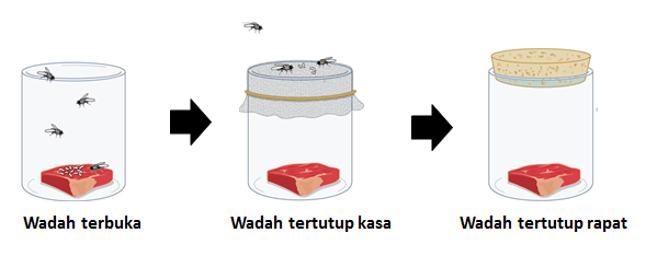 <p>Tokoh pertama yang membantah teori abiogenesis dengan melakukan percobaan yaitu meletakkan daging mentah pada tiga tempat yang berbeda dan menutup dua dari tiga wadah dengan kain. Ia mengamati bahwa tidak ada larva pada daging yang tertutup, menunjuk pada fakta bahwa kehidupan tidak muncul secara tiba-tiba</p>