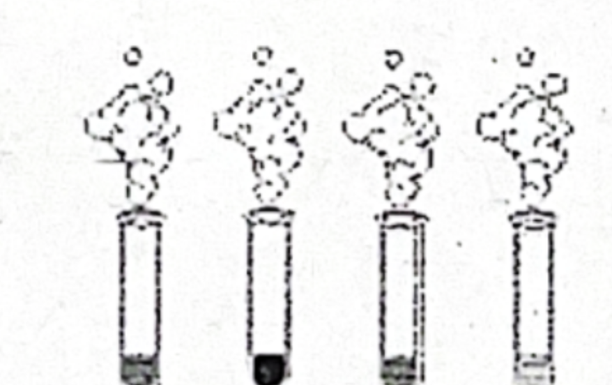 <p>holds liquids for observation or testing</p>