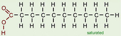 <p>contains the maximum number of hydrogen atoms and no double bonds</p>