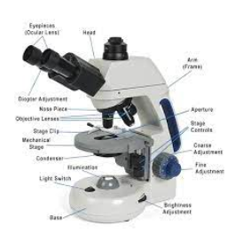 <p>Microscope</p>
