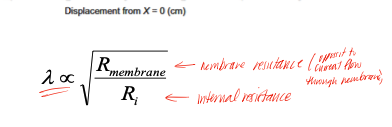 <p>factor that determines the distance over which the applied voltage is able to spread out, distance at which the voltage has decayed by 63% from where the source was produced, typical values are 0.1-1.0 mm, is proportional to the membrane resistance and inversely proportional to the internal resistance </p>