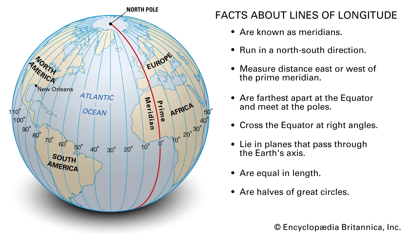 <p>meridians</p>