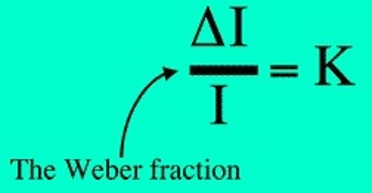 <p>to be perceived as different, two stimuli must differ by a constant minimum percentage</p>