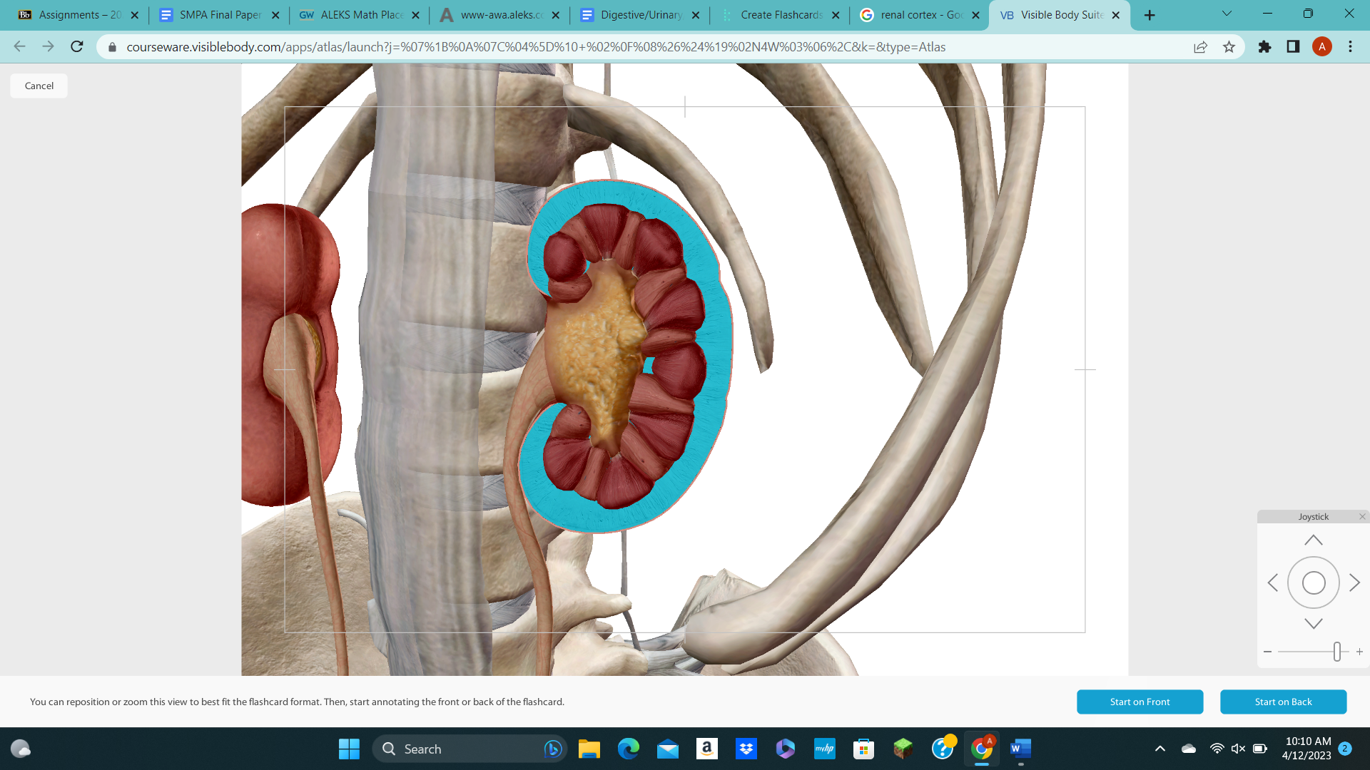 knowt flashcard image