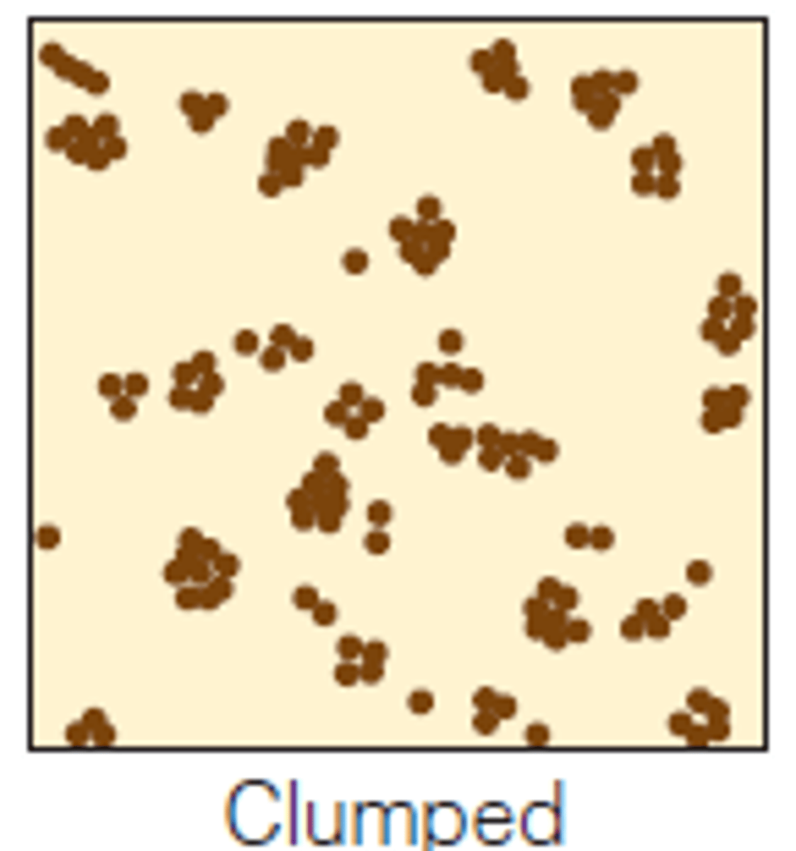 <p>individuals live close together in groups; facilitates mating, protection, and access to food and other resources</p>