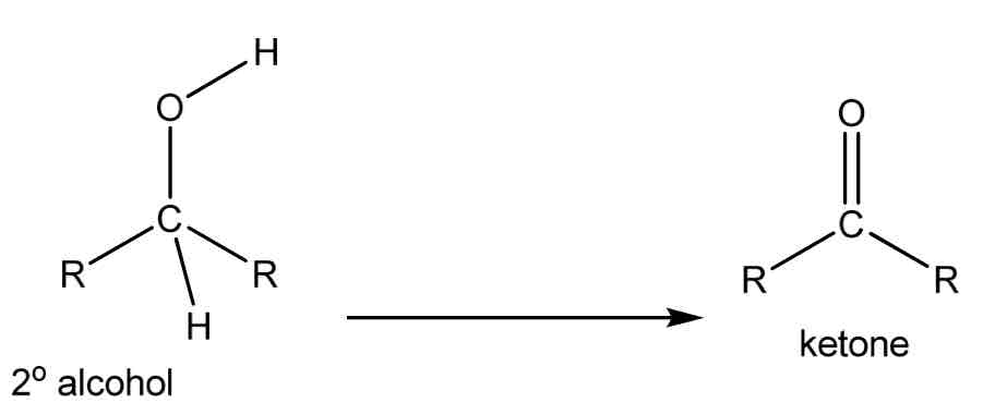 <p></p>