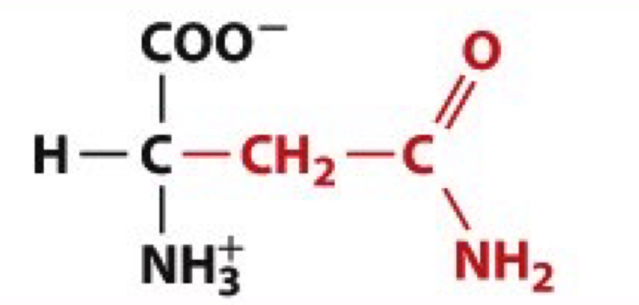 <ul><li><p>Asn, N</p></li><li><p>uncharged</p></li></ul><p></p>