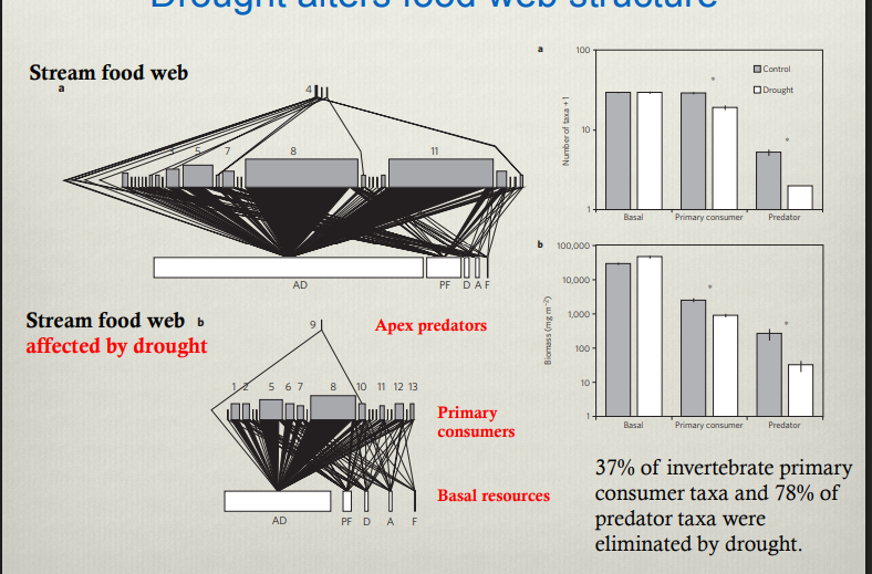 <p>Explain this graph</p>