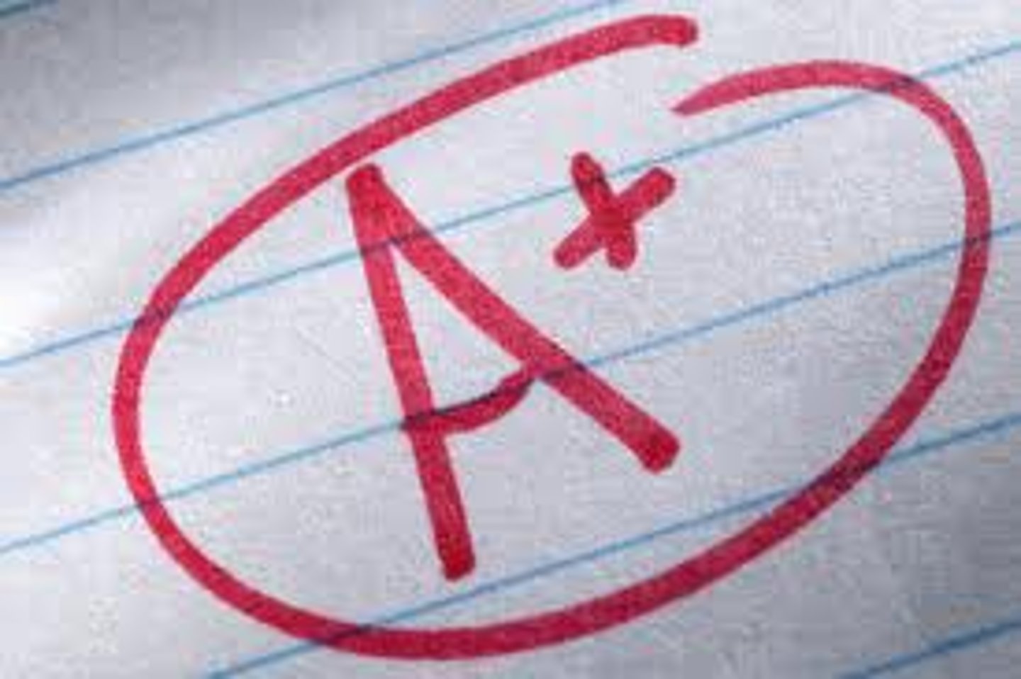 <p>to succeed</p>