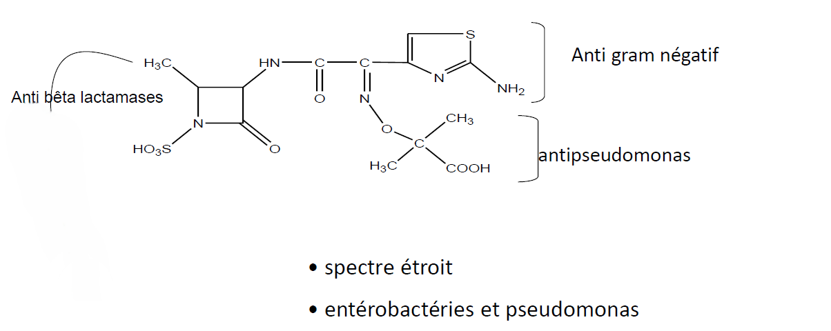 <p><strong>Aztréonam</strong></p>