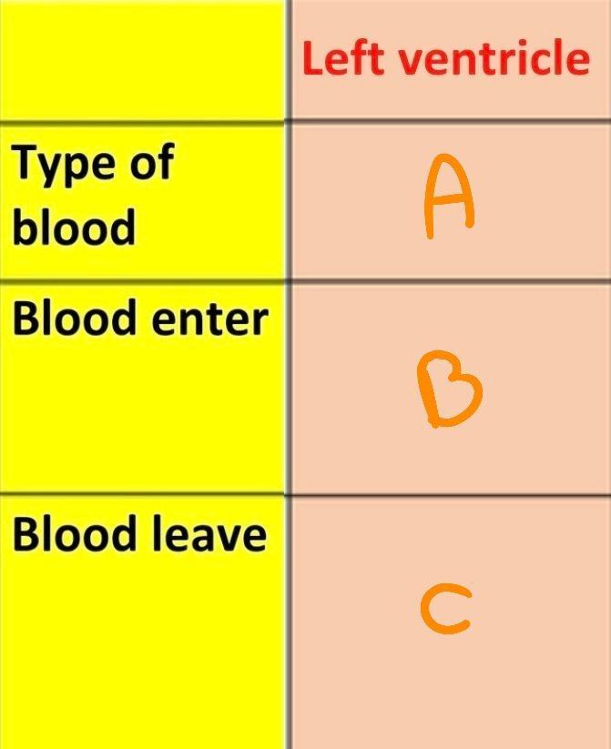 <p>Answer the following questions</p>