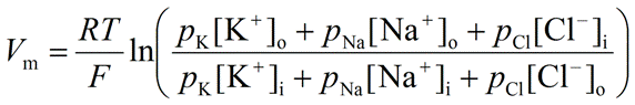 <p>Goldman-Hodgkin-Katz (GHK) Equation</p>
