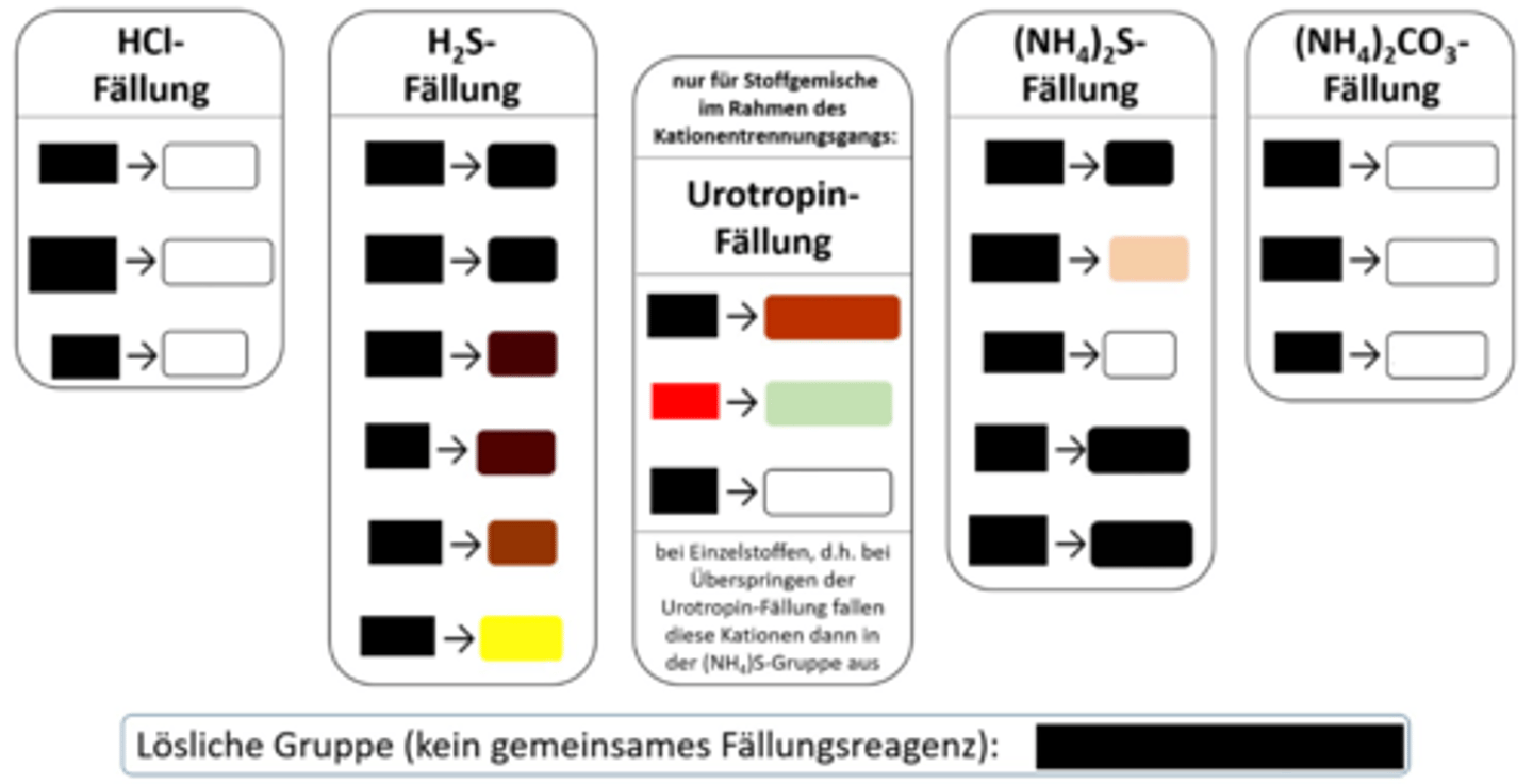 <p>Urotropin-Fällung, grüner NS</p>