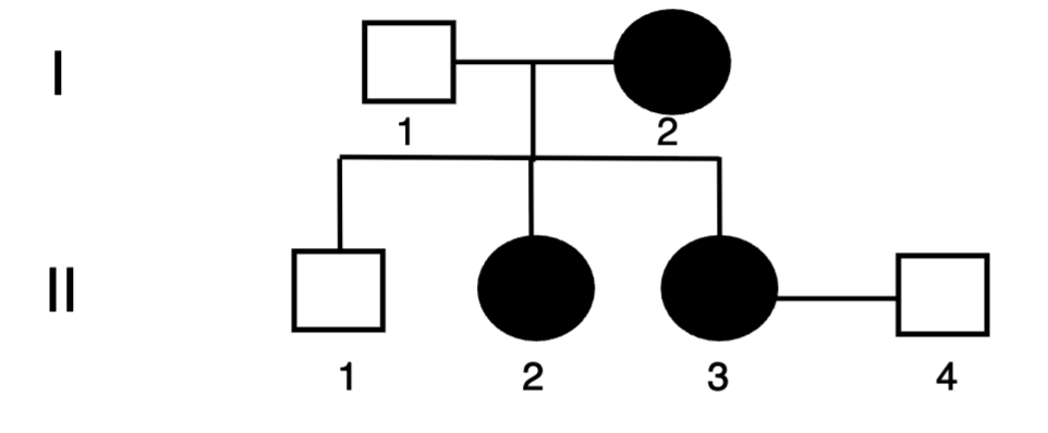 <p><span style="color: blue">Which of the following statements best</span><span style="color: blue"><br></span><span style="color: blue">describes the pedigree shown below?</span><span style="color: blue"><br></span><span style="color: blue">A. The first generation have four children: two males</span><span style="color: blue"><br></span><span style="color: blue">and two females</span><span style="color: blue"><br></span><span style="color: blue">B. All the females in the second generation are carriers</span><span style="color: blue"><br></span><span style="color: blue">C. All the females in the second generation are affected</span><span style="color: blue"><br></span><span style="color: blue">D. Half of the females in the second generation are</span><span style="color: blue"><br></span><span style="color: blue">affected</span><span style="color: blue"><br></span><span style="color: blue">E. A and C</span></p>
