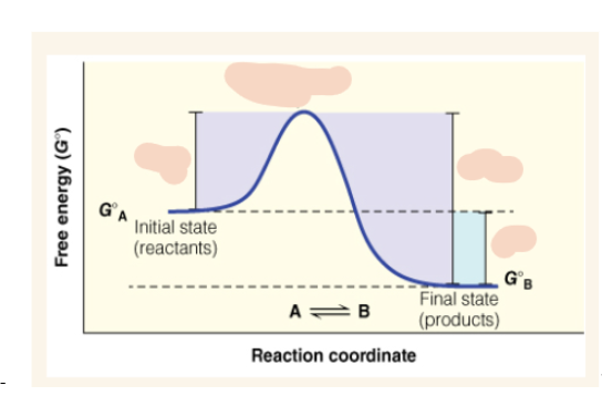 <p>What is the ∆Gº  and ∆Gºǂ1 of this reaction?</p>