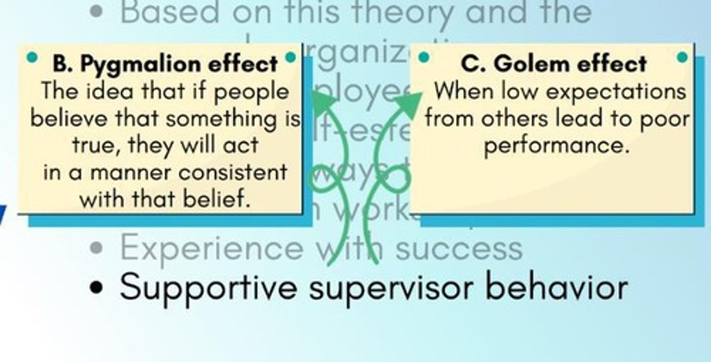 <p>The Golem Effect refers to the phenomenon where negative expectations from others can lead to decreased performance.</p>